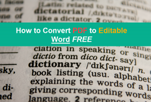 convert pdf to editable word paid